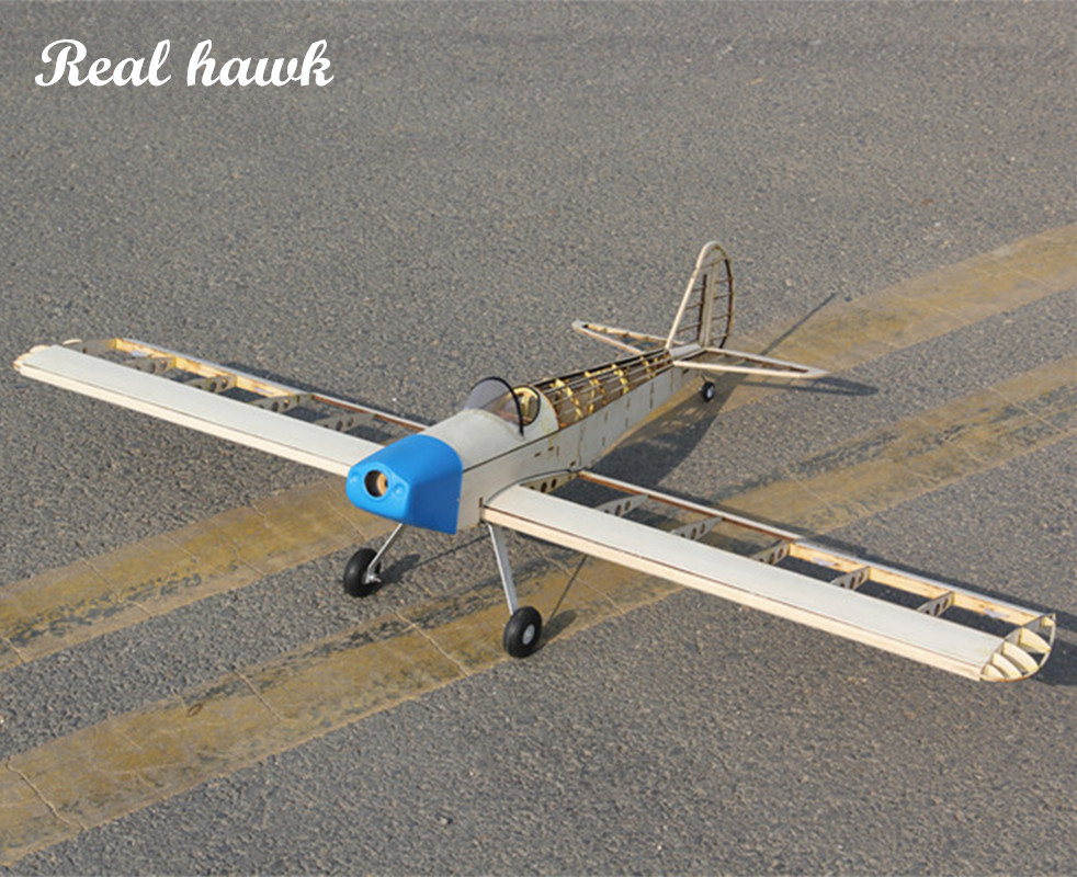 RC AirPlanes Laser Cut Balsa W - Frame Model Kit 评论和价格
