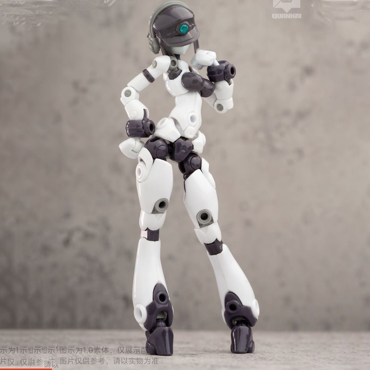 Kit Gene Interference Series Q - Model Kit China 评论和价格