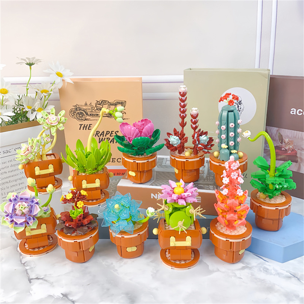 2024 City Creativity Succulent - Lego Set Creator 评论和价格