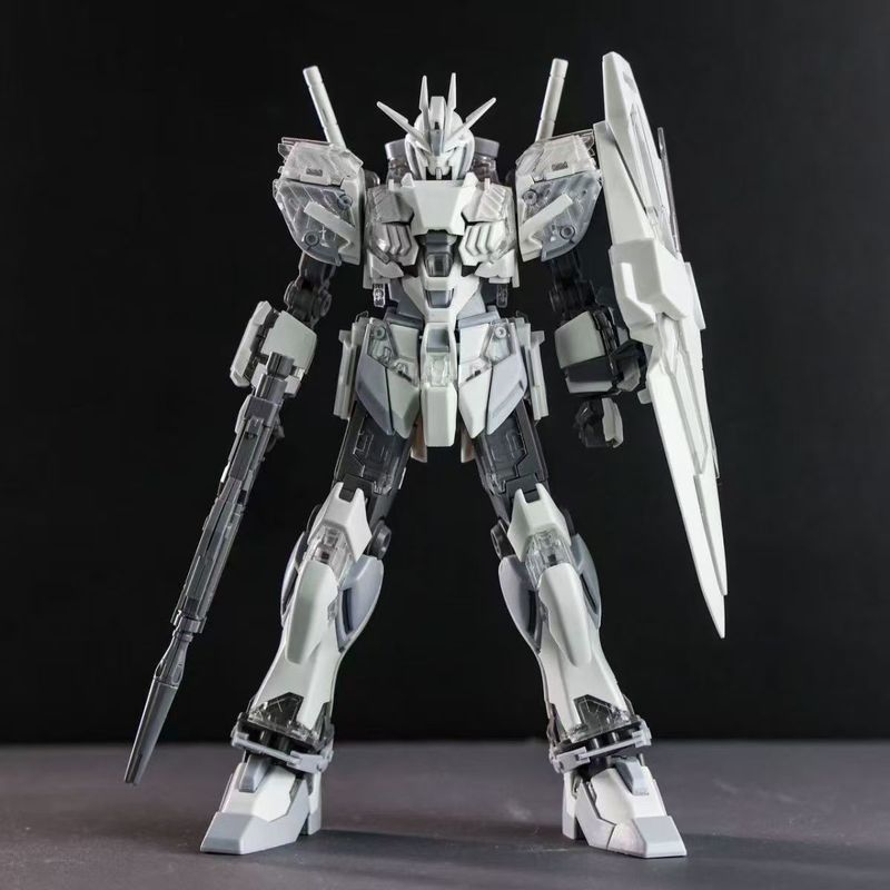 HG1/144 Narrative C Coating Ac - Model Kit Gundam Hg 评论和价格