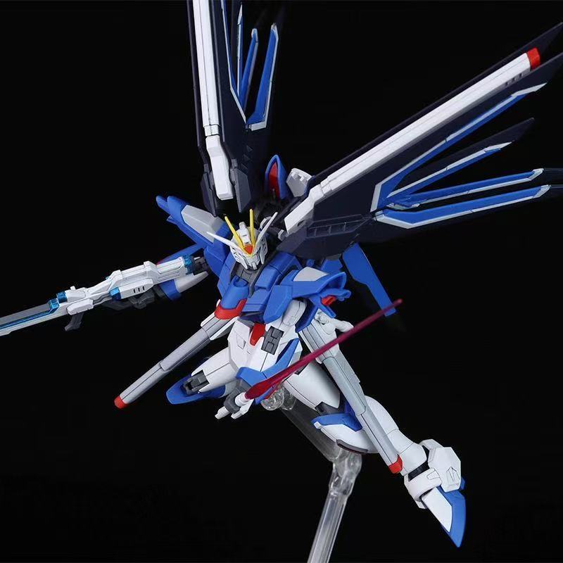 HG STTS-909 Rising Freedom Gun - Model Kit Gundam Hg 评论和价格